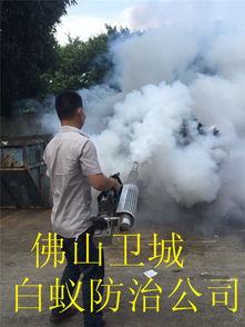 佛山地区完善虫鼠害防治体系— 构建生态宜居环境的坚实屏障