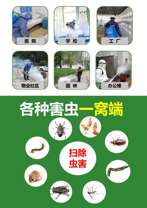 环保消杀 专业灭鼠、灭蟑螂、灭蚊蝇服务与产品价格厂家指南